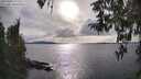 ./images/koeye/fitz-hugh/20260403/fitz-hugh20260403_171501M.jpg