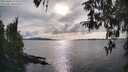 ./images/koeye/fitz-hugh/20260403/fitz-hugh20260403_172501M.jpg