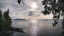 ./images/koeye/fitz-hugh/20260403/fitz-hugh20260403_174002M.jpg