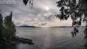 ./images/koeye/fitz-hugh/20260403/fitz-hugh20260403_174502M.jpg