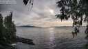 ./images/koeye/fitz-hugh/20260403/fitz-hugh20260403_180501M.jpg