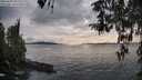 ./images/koeye/fitz-hugh/20260403/fitz-hugh20260403_181501M.jpg