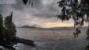./images/koeye/fitz-hugh/20260403/fitz-hugh20260403_183002M.jpg