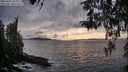 ./images/koeye/fitz-hugh/20260403/fitz-hugh20260403_184001M.jpg
