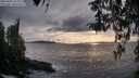 ./images/koeye/fitz-hugh/20260403/fitz-hugh20260403_185002M.jpg