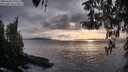 ./images/koeye/fitz-hugh/20260403/fitz-hugh20260403_190501M.jpg