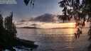 ./images/koeye/fitz-hugh/20260403/fitz-hugh20260403_194501M.jpg