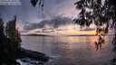 ./images/koeye/fitz-hugh/20260403/fitz-hugh20260403_201001M.jpg