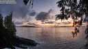 ./images/koeye/fitz-hugh/20260403/fitz-hugh20260403_202002M.jpg