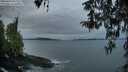 ./images/koeye/fitz-hugh/20260404/fitz-hugh20260404_065502M.jpg