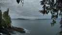./images/koeye/fitz-hugh/20260404/fitz-hugh20260404_070001M.jpg