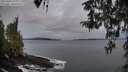 ./images/koeye/fitz-hugh/20260404/fitz-hugh20260404_071001M.jpg