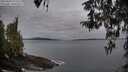 ./images/koeye/fitz-hugh/20260404/fitz-hugh20260404_071502M.jpg
