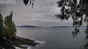 ./images/koeye/fitz-hugh/20260404/fitz-hugh20260404_072502M.jpg
