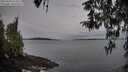 ./images/koeye/fitz-hugh/20260404/fitz-hugh20260404_074502M.jpg