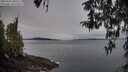 ./images/koeye/fitz-hugh/20260404/fitz-hugh20260404_080502M.jpg