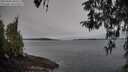 ./images/koeye/fitz-hugh/20260404/fitz-hugh20260404_083501M.jpg
