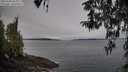 ./images/koeye/fitz-hugh/20260404/fitz-hugh20260404_084001M.jpg