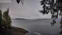 ./images/koeye/fitz-hugh/20260404/fitz-hugh20260404_090001M.jpg