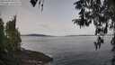 ./images/koeye/fitz-hugh/20260404/fitz-hugh20260404_093502M.jpg