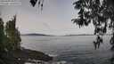 ./images/koeye/fitz-hugh/20260404/fitz-hugh20260404_094001M.jpg