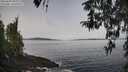 ./images/koeye/fitz-hugh/20260404/fitz-hugh20260404_095001M.jpg