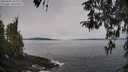 ./images/koeye/fitz-hugh/20260404/fitz-hugh20260404_103001M.jpg
