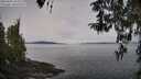 ./images/koeye/fitz-hugh/20260404/fitz-hugh20260404_103501M.jpg
