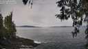 ./images/koeye/fitz-hugh/20260404/fitz-hugh20260404_104001M.jpg
