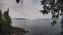./images/koeye/fitz-hugh/20260404/fitz-hugh20260404_104501M.jpg
