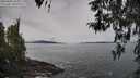 ./images/koeye/fitz-hugh/20260404/fitz-hugh20260404_105001M.jpg