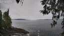 ./images/koeye/fitz-hugh/20260404/fitz-hugh20260404_110001M.jpg