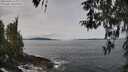 ./images/koeye/fitz-hugh/20260404/fitz-hugh20260404_113001M.jpg