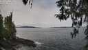 ./images/koeye/fitz-hugh/20260404/fitz-hugh20260404_113501M.jpg