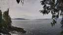 ./images/koeye/fitz-hugh/20260404/fitz-hugh20260404_114001M.jpg