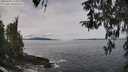 ./images/koeye/fitz-hugh/20260404/fitz-hugh20260404_115001M.jpg