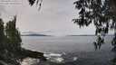 ./images/koeye/fitz-hugh/20260404/fitz-hugh20260404_115501M.jpg