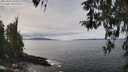 ./images/koeye/fitz-hugh/20260404/fitz-hugh20260404_123501M.jpg