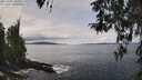 ./images/koeye/fitz-hugh/20260404/fitz-hugh20260404_124502M.jpg
