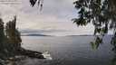 ./images/koeye/fitz-hugh/20260404/fitz-hugh20260404_125001M.jpg