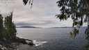./images/koeye/fitz-hugh/20260404/fitz-hugh20260404_125501M.jpg
