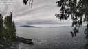 ./images/koeye/fitz-hugh/20260404/fitz-hugh20260404_131001M.jpg