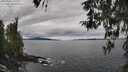 ./images/koeye/fitz-hugh/20260404/fitz-hugh20260404_131501M.jpg