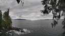 ./images/koeye/fitz-hugh/20260404/fitz-hugh20260404_133001M.jpg