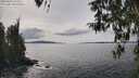 ./images/koeye/fitz-hugh/20260404/fitz-hugh20260404_145001M.jpg