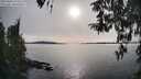 ./images/koeye/fitz-hugh/20260404/fitz-hugh20260404_173501M.jpg