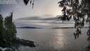 ./images/koeye/fitz-hugh/20260404/fitz-hugh20260404_184502M.jpg