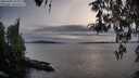 ./images/koeye/fitz-hugh/20260404/fitz-hugh20260404_185001M.jpg