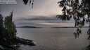 ./images/koeye/fitz-hugh/20260404/fitz-hugh20260404_185501M.jpg