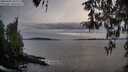 ./images/koeye/fitz-hugh/20260404/fitz-hugh20260404_190002M.jpg